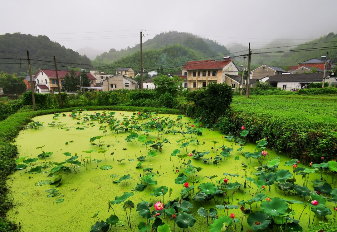 生態(tài)農(nóng)莊環(huán)境